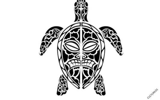 Symbole de la tortue au niveau de la culture polynésienne et maorie