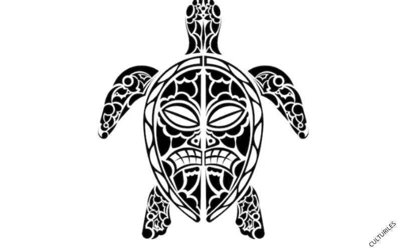 Symbole de la tortue au niveau de la culture polynésienne et maorie