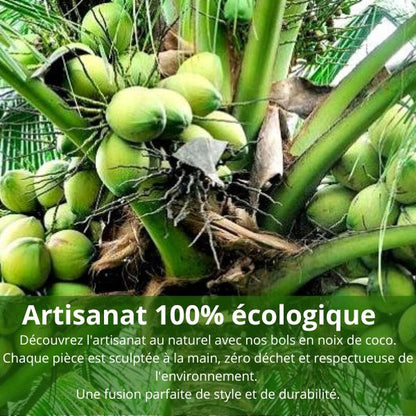 Bols de Noix de Coco et Cuillères en Bois  - Naturels et Ecologiques