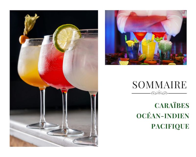 Le Grand Livre de Cocktails des Îles -  - Livre de recettes