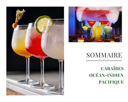 Le Grand Livre de Cocktails des Îles -  - Livre de recettes